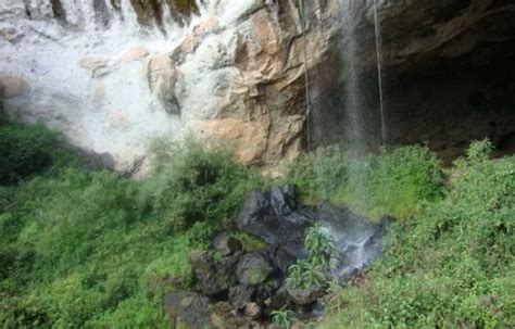 Mount Elgon National Park Uganda, Mountain climbing adventure safari ...