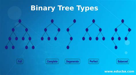 Binary Tree Types | Complete Guide on Types of Binary Tree