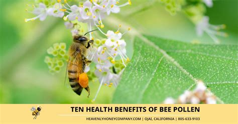 50 Unbelievable Benefits of Bee Pollen: Ultimate Guide 2023