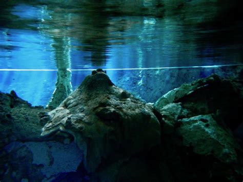 Snorkeling in Cenote Dos Ojos