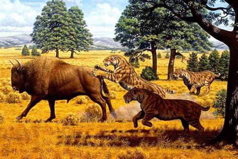 The dangers of being a saber-toothed cat in Los Angeles 12,000 years ...