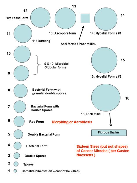 18 Lovely Book Sizes Chart