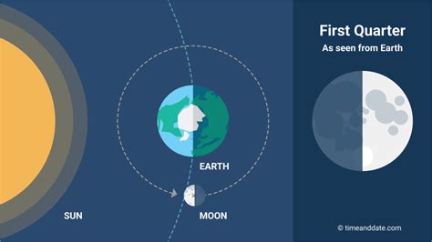 Phases of the Moon