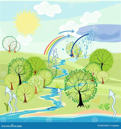 Water Cycle Vector Illustration | CartoonDealer.com #46216252