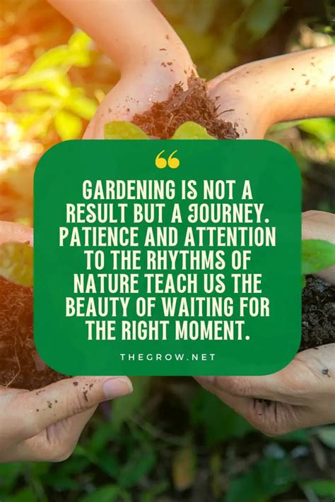 30 Gardening Quotes to Live By | TheGrow