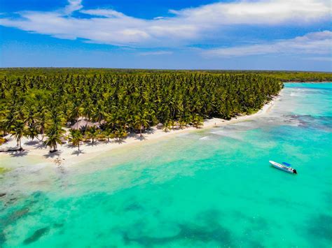 Bird's Eye View Of Beach During Daytime · Free Stock Photo