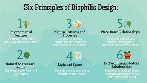 27 New Biophilic design benefits for New Project | In Design Pictures