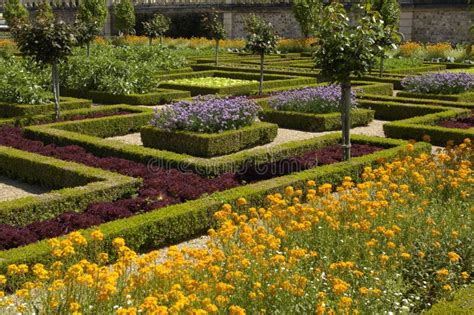 French formal garden stock image. Image of france, scene - 10396651