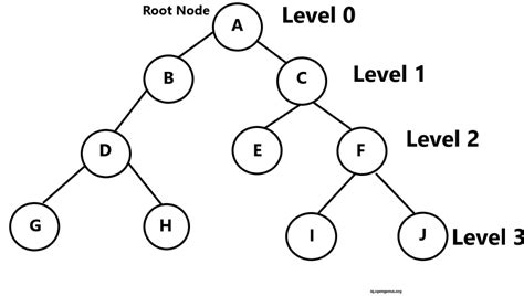 Degenerate Binary Tree