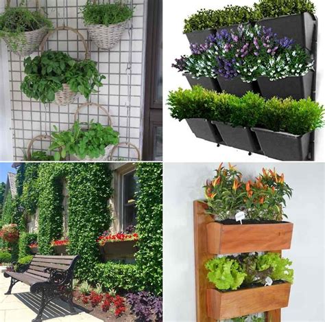 Vertical Garden Design Ideas for Beginners | Gardening Tips