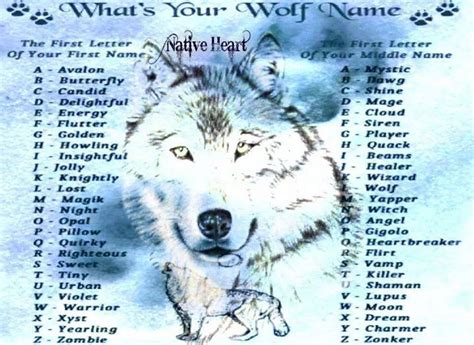 The big brotherhood of the wolfs | Wolf name, Cute animal drawings ...