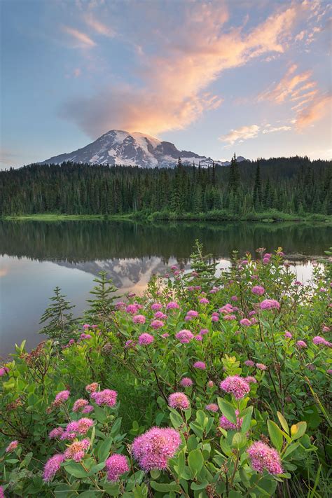 Mount Rainier sunrise from Reflection Lake - Alan Crowe Photography