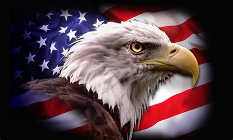 American Flag Eagle Wallpaper - WallpaperSafari