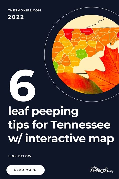 Interactive tennessee fall foliage map 7 fall tips 2023 – Artofit