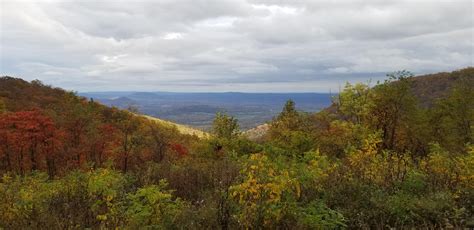 Shenandoah national park Skyline drive : r/nova