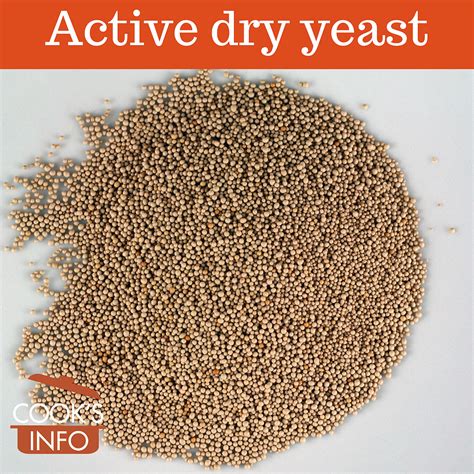 Active Dry Yeast - CooksInfo