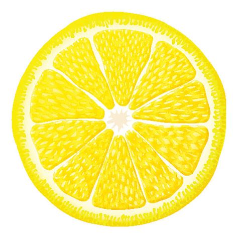 Royalty Free Lemon Slice Clip Art, Vector Images & Illustrations - iStock