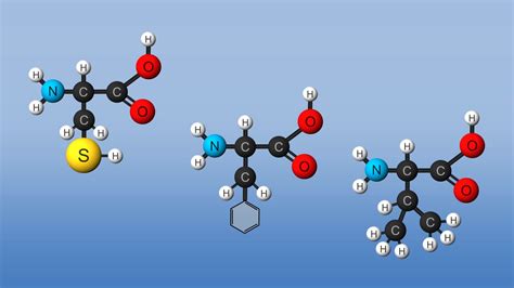 Amino acid - Building Blocks, Structure, Functions | Britannica