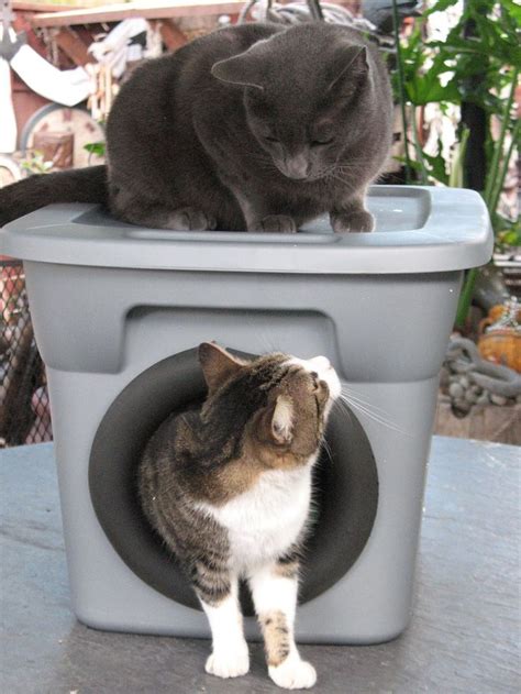 Outdoor Cat Bed Diy