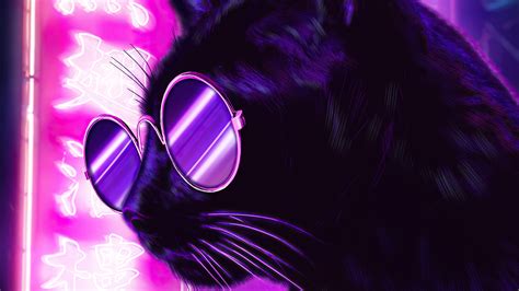 Cat Glasses Neon Purple Nights 4k Wallpaper,HD Artist Wallpapers,4k ...