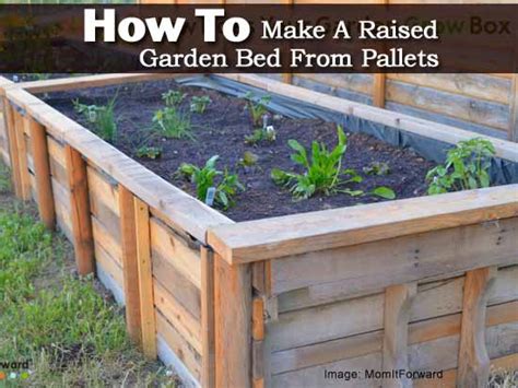 How to Make A Raised Garden Bed From Pallets