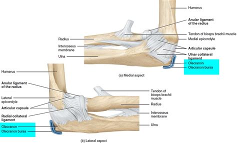 Bursitis - Hip, Trochanteric, Knee, Shoulder, Elbow - Causes & Treatment