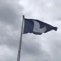 Cubs Lose GIF - Cubs Lose Flag - Discover & Share GIFs