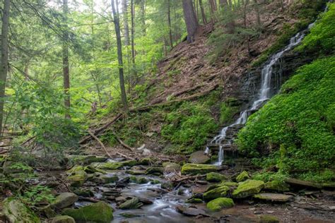 How to Get to Bridal Falls in Allegany State Park in Western New York ...