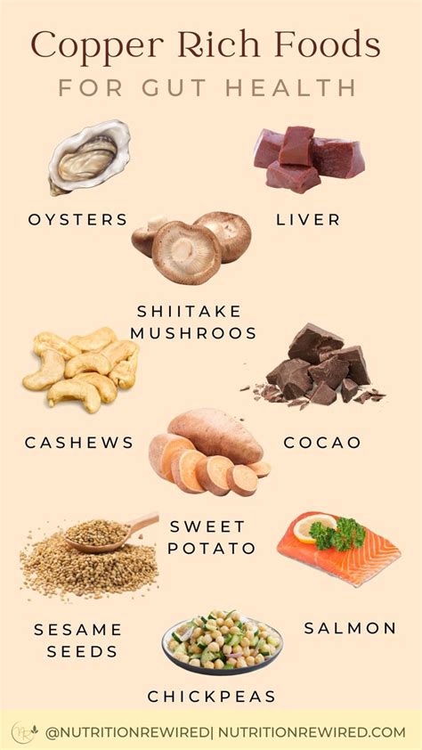 Copper Rich Foods for Gut Health | Gut health recipes, Dog food recipes ...