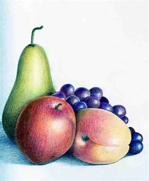 Still Life Drawing Of Fruits In Colour