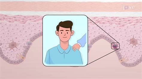 Video: Cells of the Epidermis