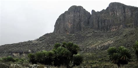 Mount Elgon National ParkJourneys Uganda!