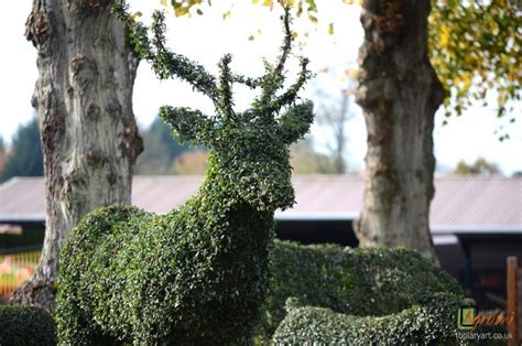 Topiary Animals - Agrumi New Forest Bespoke Topiary