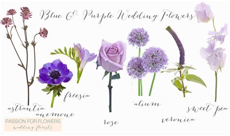 Types Of Purple Wedding Flowers