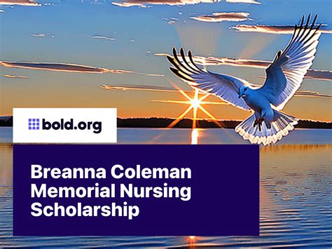 Top 120 Nursing Scholarships to Apply for in January 2025 | Bold.org