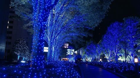 Blue Lights Decorated Tree HD Christmas Wallpapers | HD Wallpapers | ID ...