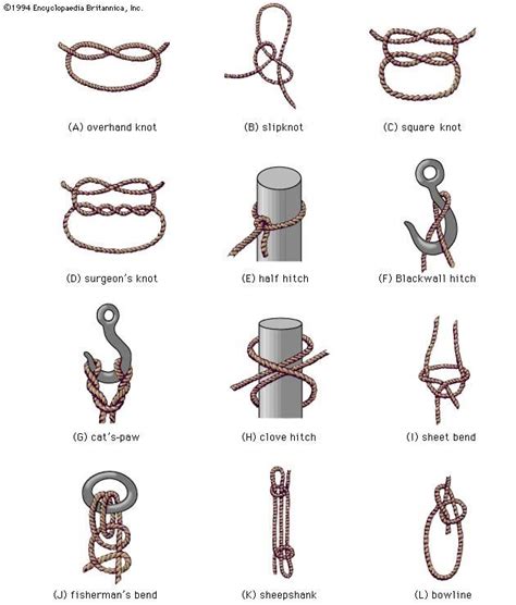 Knot | cording | Britannica.com