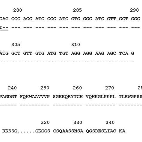 (A) The nucleotide sequence alignment of the exon 5 sequence and of (B ...