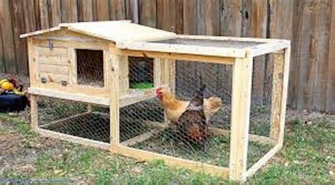 Chicken Coop Plans - 24 Simple Designs You Can Build Yourself