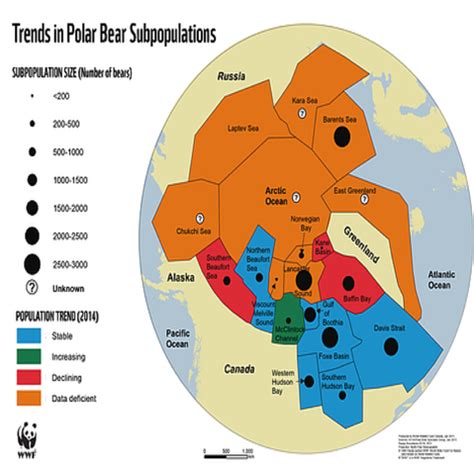 Population Growth - POlar bears