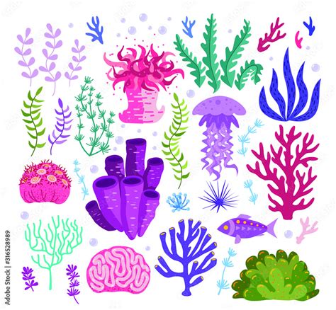 Set of underwater ocean coral reef plants, corals. Tropical coral-reef ...