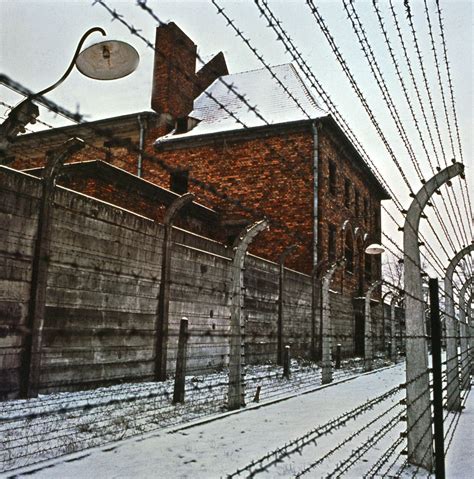 Arriba 99+ Imagen Impresionantes Fotos Del Museo Auschwitz Cena Hermosa