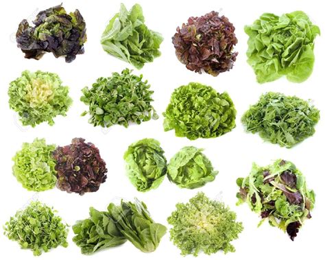 A Definitive Ranking Of Lettuce Types