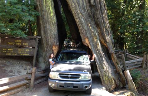 Giant Redwoods RV Park & Camp (Myers Flat, CA) - Resort Reviews ...