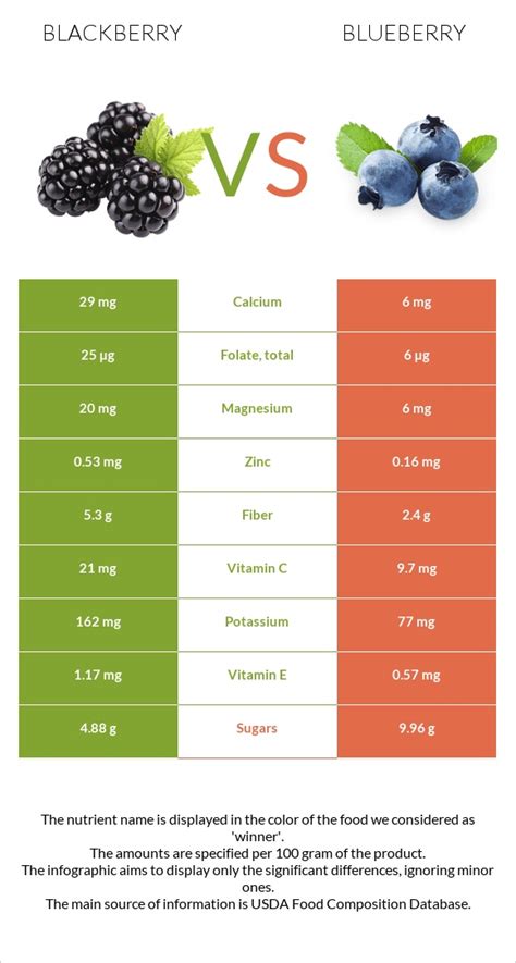 Blackberry vs. Blueberry — Health Impact and Nutrition Comparison