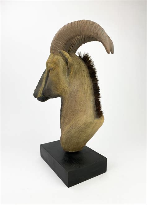 Nilgiri Tahr – Cal Stretar Fine Art