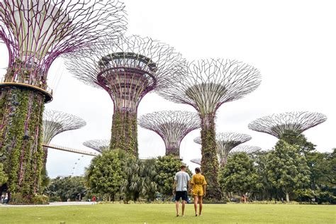 6 Photos Gardens By The Bay Supertrees And Review - Alqu Blog