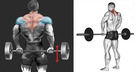 Front Barbell Shrugs vs. Behind-the-Back Shrugs – Fitness Workouts ...