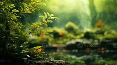 Nature Background Video Stock Photos, Images and Backgrounds for Free ...