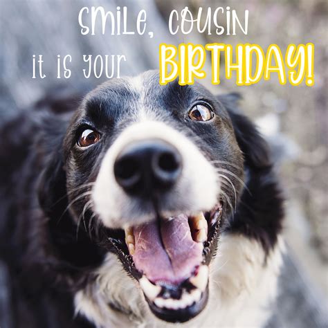 Free Funny Happy Birthday Image For Cousin With Dog - birthdayimg.com